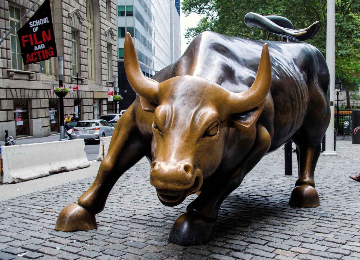 Wall Street Bull 1529907537 investory s uoll strit Home