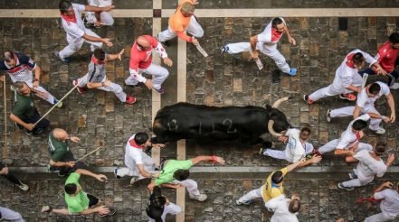 In 2020 Animal Spirits Reviving, Market Could Rise 10%+