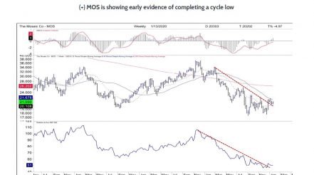 Mosaic MOS Shows Signs of Bottoming