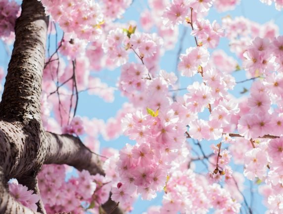 FSInsight 1Q21 Daily Earnings Update – 04/13/2021