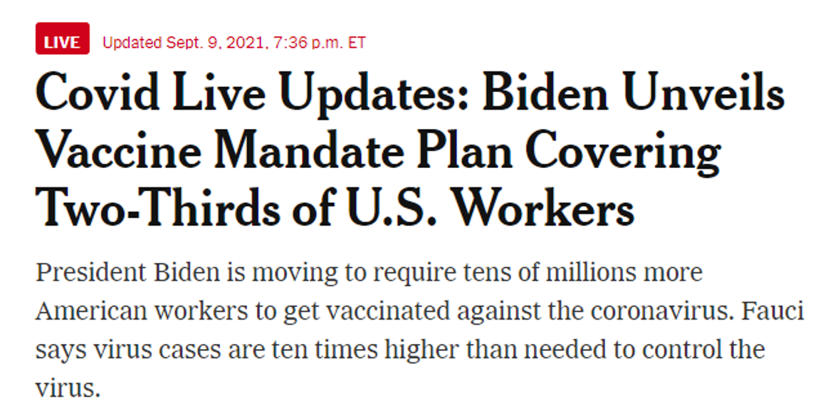 White House Unveils “Hammer” 6 Step Plan, Escalating Steps To Contain COVID-19