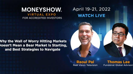 MoneyShow Virtual Expo with Raoul Pal & Tom Lee