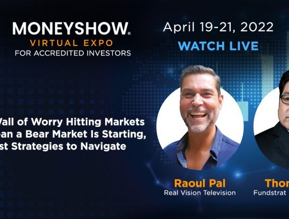 MoneyShow Virtual Expo with Raoul Pal & Tom Lee
