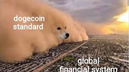 Meme Coins