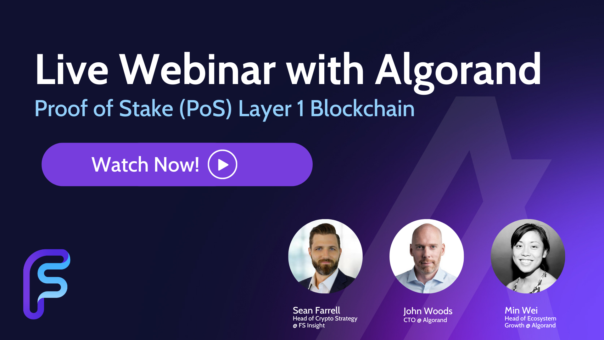 Algorand: Pure Proof of Stake Layer 1 Blockchain