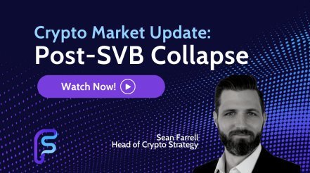 Crypto Market Update: Post-SVB Collapse