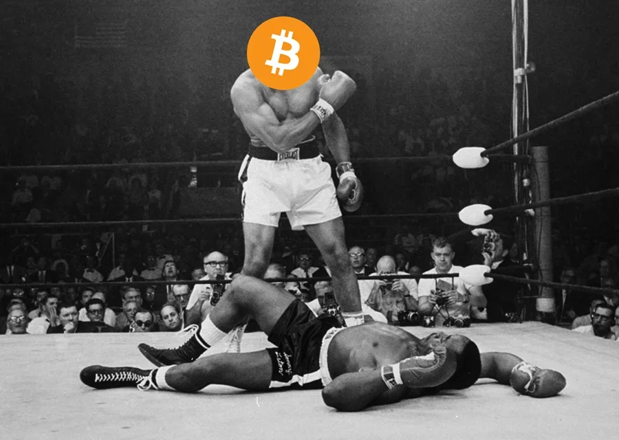 RopeaDope FS Insight