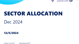 FSI Sector Allocation - December 2024 Update