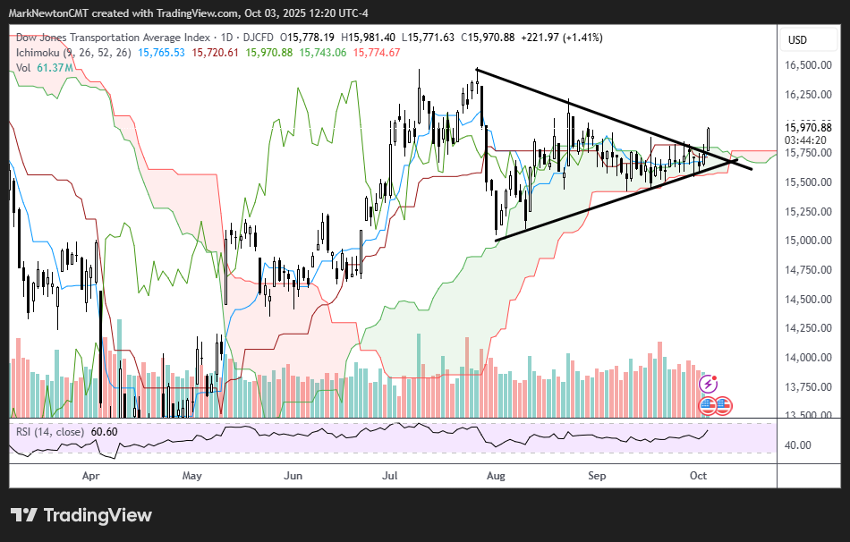 Flash Insight attachment