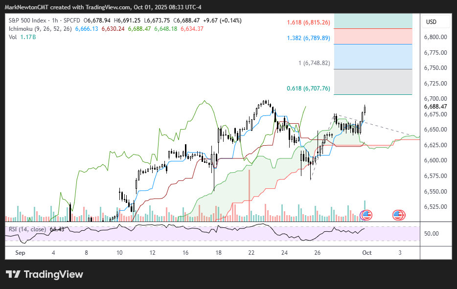 Flash Insight attachment