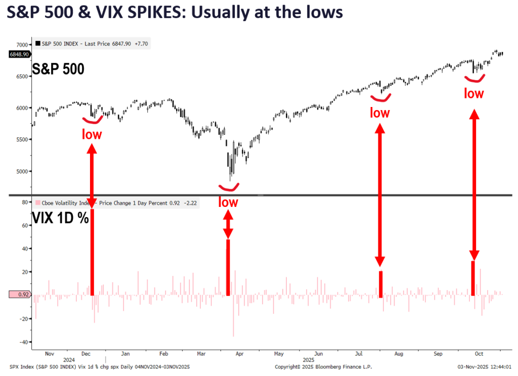FSI Sector Allocation - November 2025 Update