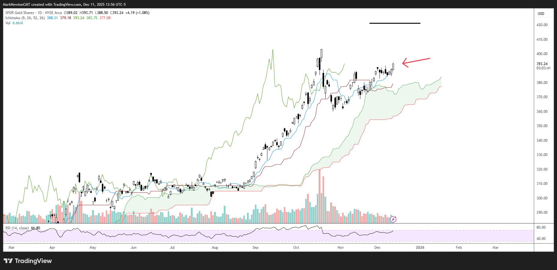 Flash Insight attachment