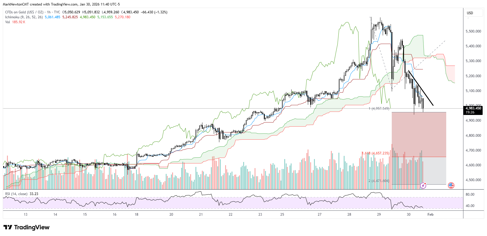 Flash Insight attachment