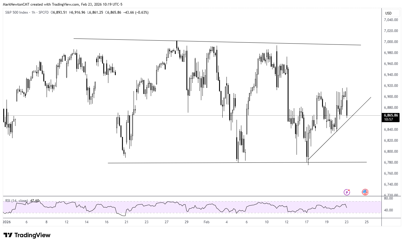 Flash Insight attachment